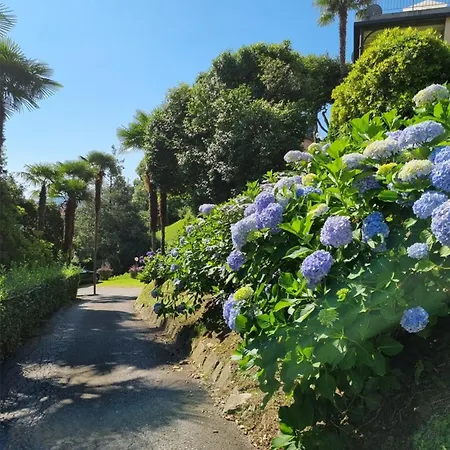 Camelie With Private באוונו